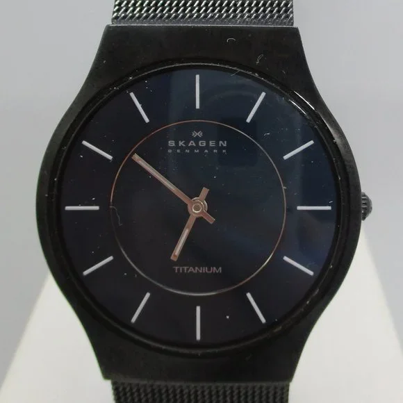 Men s Skagen Sundby 233LTMN Titanium and Midnight Steel Mesh Watch with Box